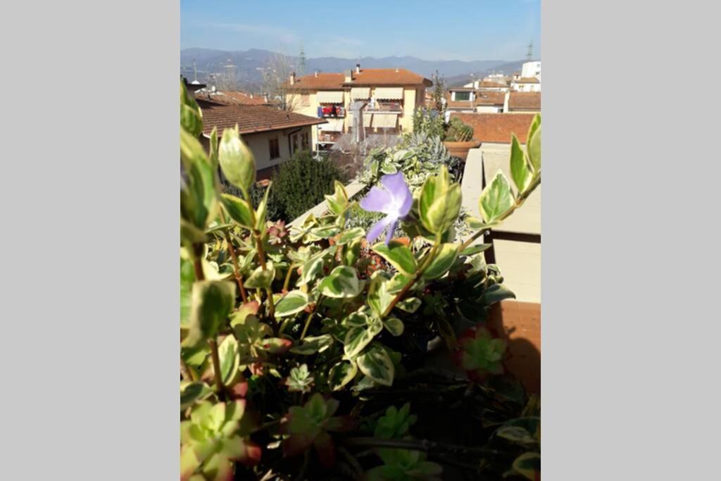 Appartamento Locazione Turistica Chichibio Pistoia Esterno foto