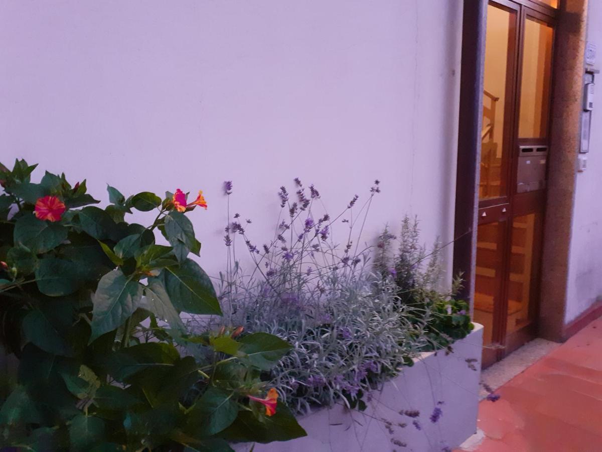 Appartamento Locazione Turistica Chichibio Pistoia Esterno foto