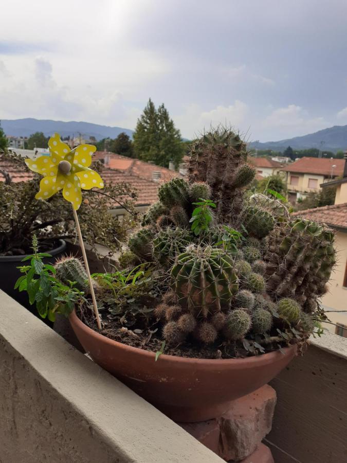 Appartamento Locazione Turistica Chichibio Pistoia Esterno foto